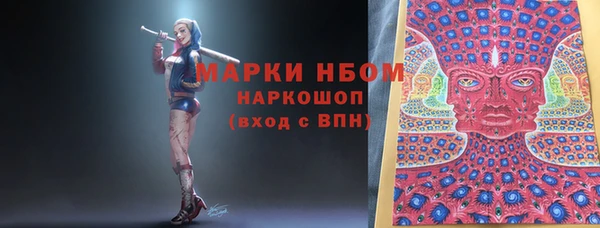 шишки Снежногорск