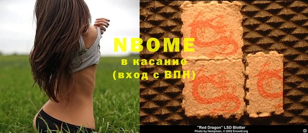 PSILOCYBIN Алзамай