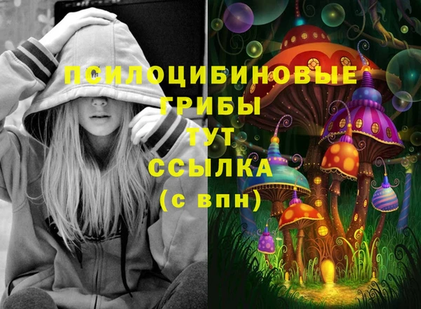 a pvp Алексеевка