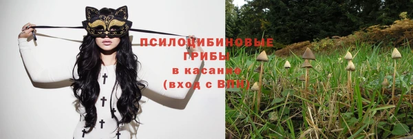 PSILOCYBIN Алзамай