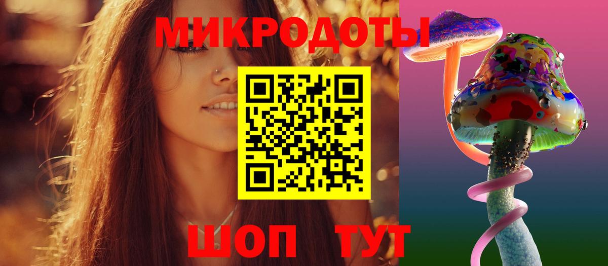 Галлюциногенные грибы Psilocybine cubensis Глазов